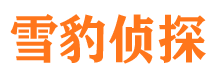 松阳市侦探公司